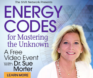 Dr. Sue Morter Energy Codes
